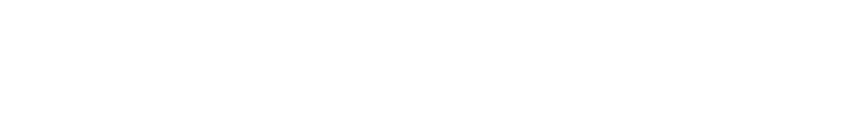 DELLIES CROSS COUNTRY