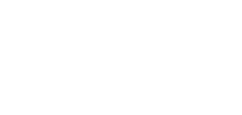 DELLIES CRICKET